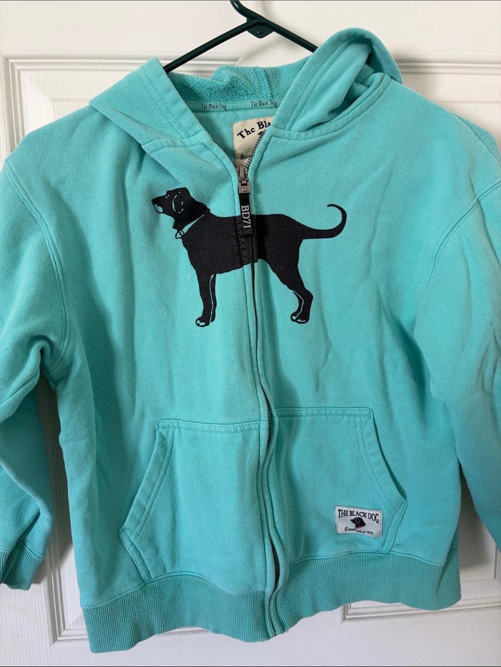 The Black Dog Kids Turquoise Zip-Up Hoodie with Black Dog Graphic